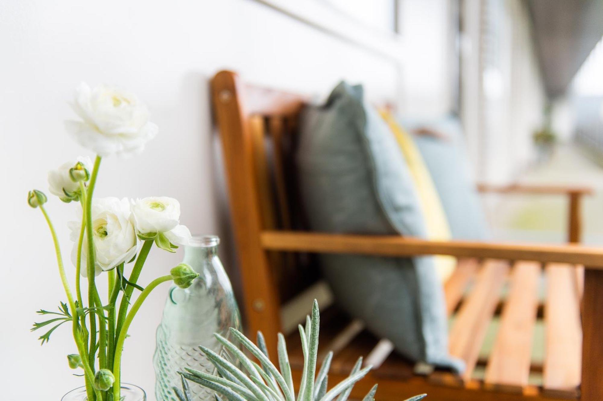Appartement Zuyd ซานด์โวร์ต ภายนอก รูปภาพ